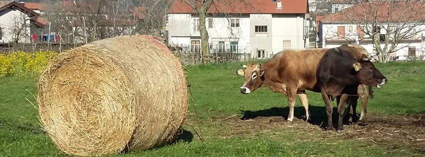 בית הארחה אג'רולה 	Agriturismo Sentiero Dei Sapori מראה חיצוני תמונה