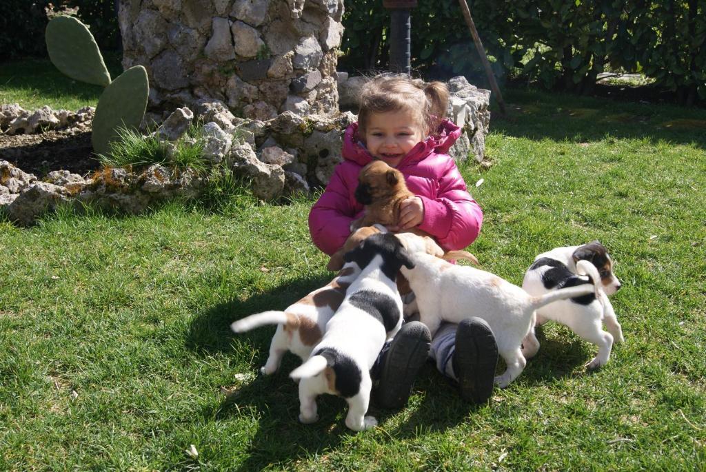 בית הארחה אג'רולה 	Agriturismo Sentiero Dei Sapori מראה חיצוני תמונה
