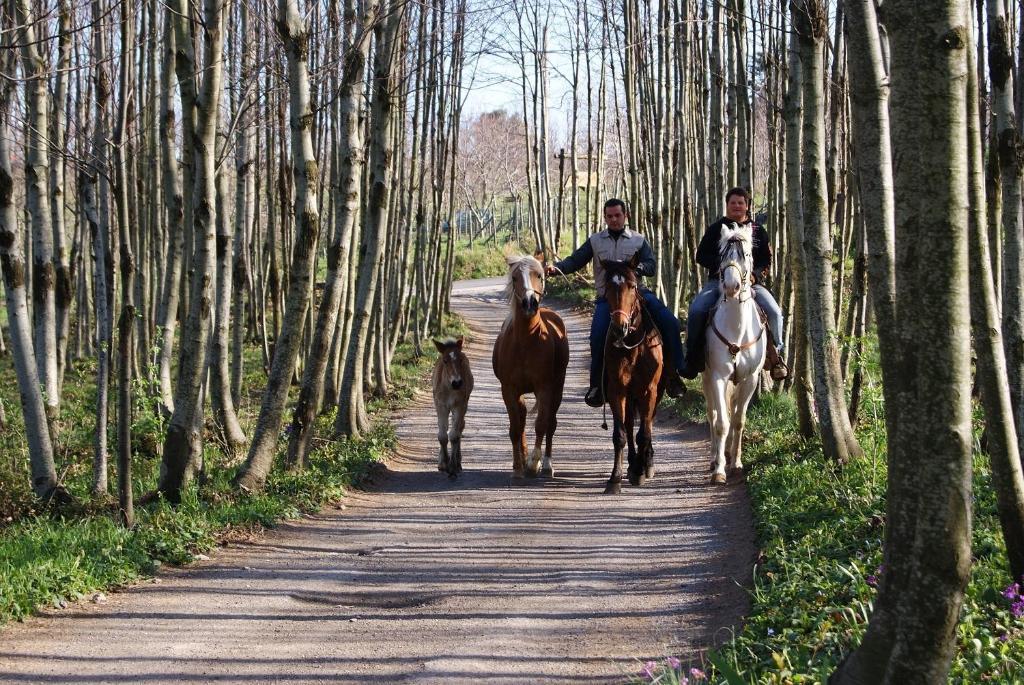 בית הארחה אג'רולה 	Agriturismo Sentiero Dei Sapori מראה חיצוני תמונה