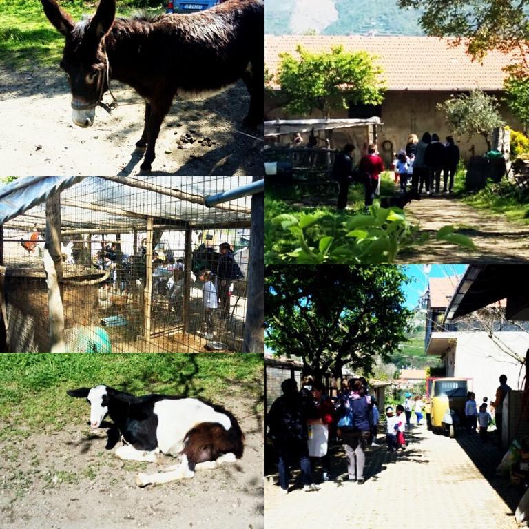 בית הארחה אג'רולה 	Agriturismo Sentiero Dei Sapori מראה חיצוני תמונה